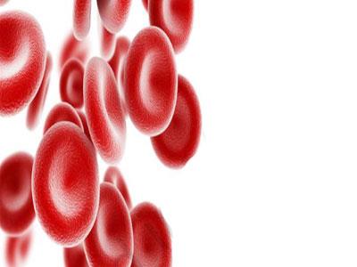 کاتالوگ کیسه خون